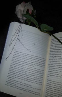 thumbnail_20180121_174228