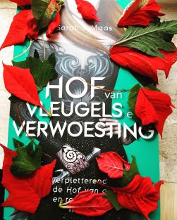 Hof van Vleugels en verwoesting 4.jpg