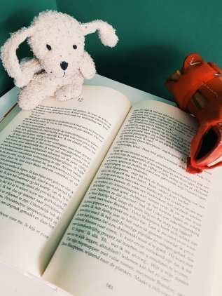 2018-05-10 122073162472..jpg