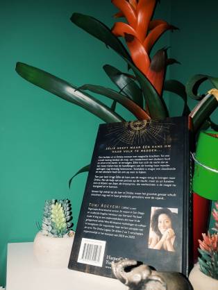 WhatsApp Image 2018-08-10 at 12.59.40