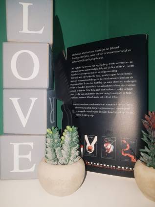 WhatsApp Image 2018-08-17 at 11.51.42 (1)