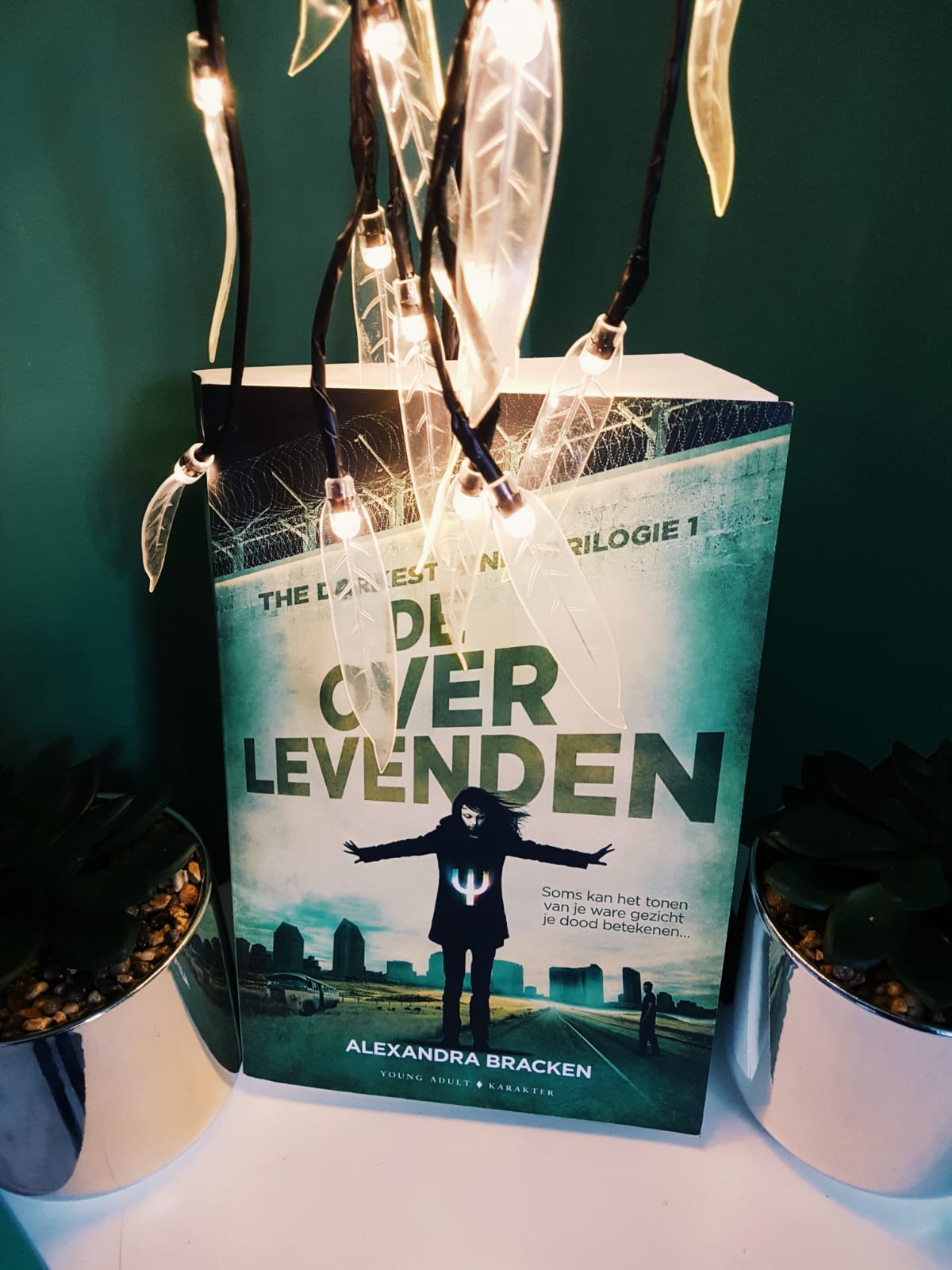 WhatsApp Image 2018-11-16 at 13.01.58