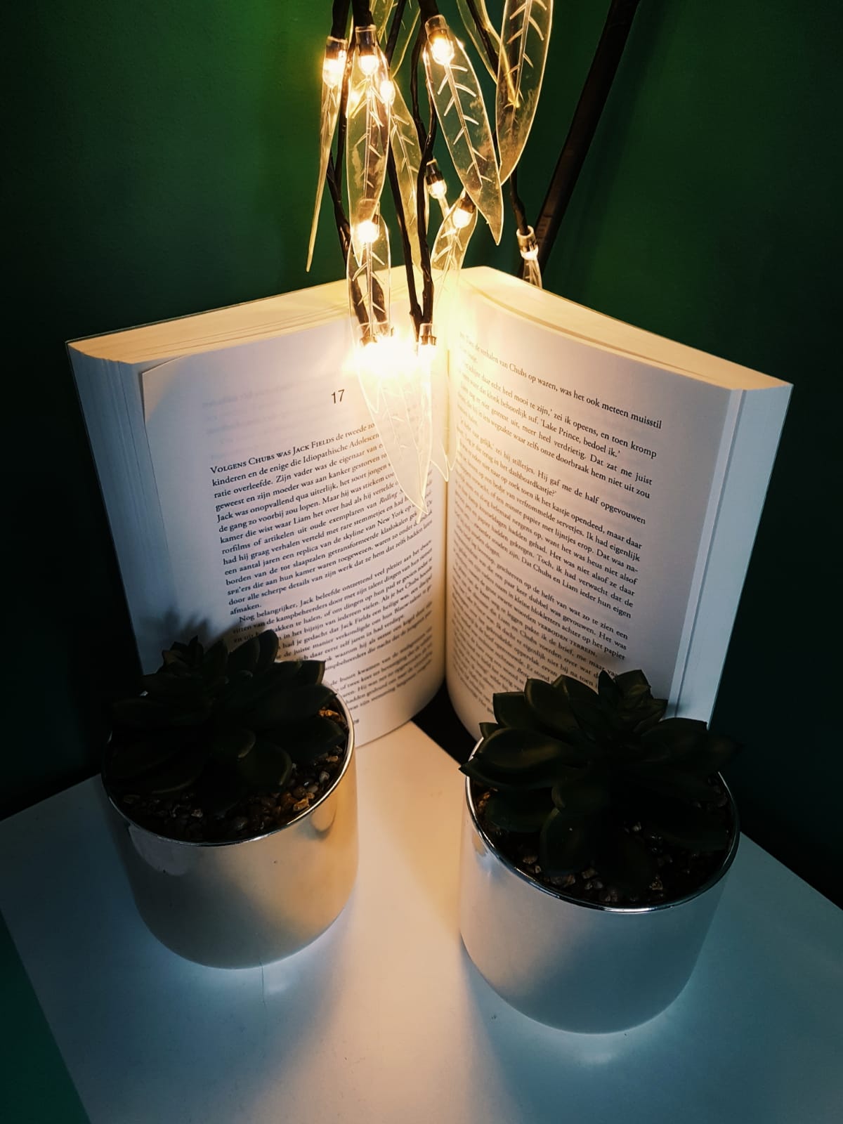 WhatsApp Image 2018-11-16 at 13.01.59