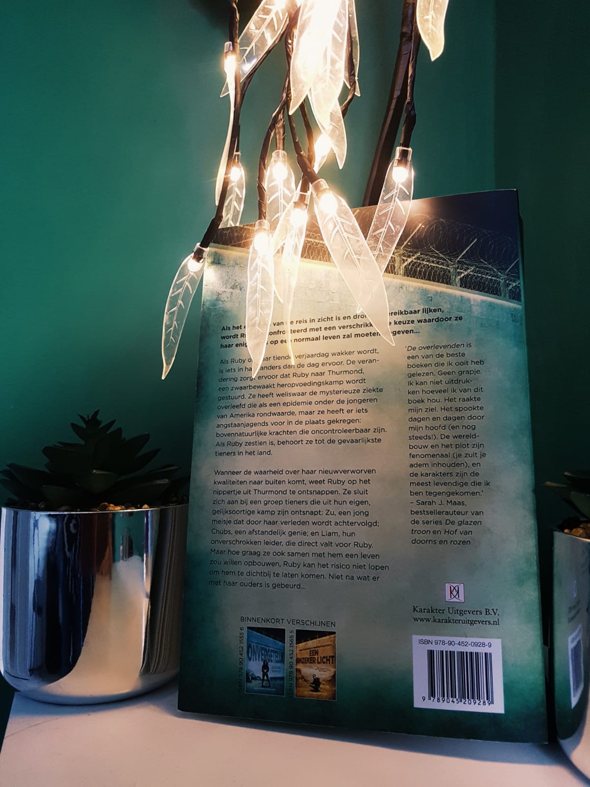 WhatsApp Image 2018-11-16 at 13.02.25