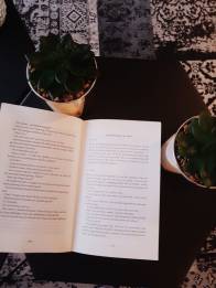 WhatsApp Image 2018-11-29 at 14.09.10