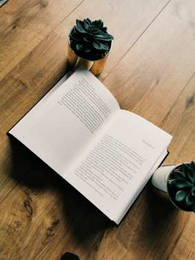 WhatsApp Image 2019-06-08 at 17.20.42