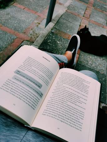 WhatsApp Image 2019-08-05 at 16.27.14 (1)