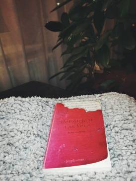 WhatsApp Image 2019-12-11 at 18.15.20