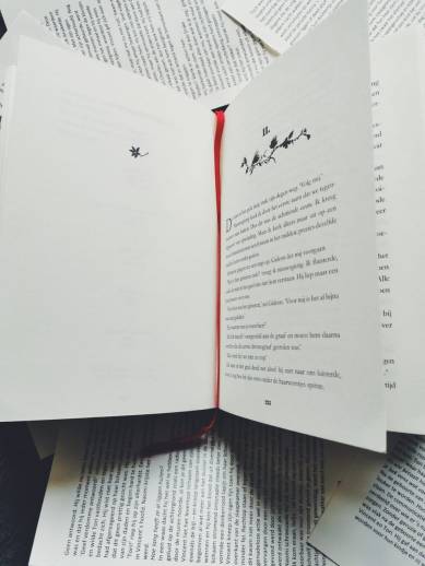 WhatsApp Image 2020-02-12 at 16.47.18