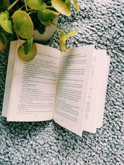 WhatsApp Image 2020-05-22 at 14.00.50 (1)